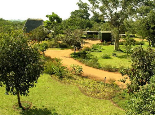 Barefoot Safari Lodge 利隆圭 外观 照片